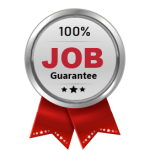 100% Job Guarantee Courses